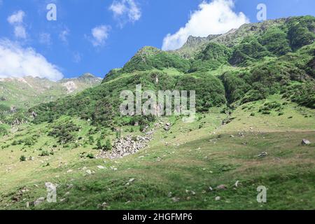 Grüner Berg im Frühling . Bergige Landschaft mit Steinschlag Stockfoto