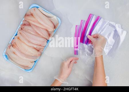 Frau Hände legte frische Tilapia Fischfilet in Zip-Lock-Taschen zum Einfrieren, Nahaufnahme von oben Stockfoto