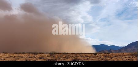 Ein Haboob-Staubsturm in der Wüste von Arizona während der Monsunsaison Stockfoto