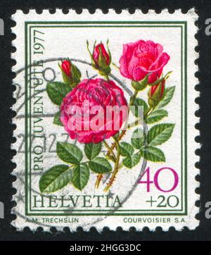 SCHWEIZ - UM 1977: Briefmarke gedruckt von der Schweiz, zeigt Blumenrose, um 1977. Stockfoto