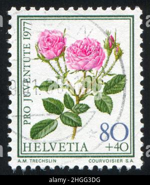 SCHWEIZ - UM 1977: Briefmarke gedruckt von der Schweiz, zeigt Blumenrose, um 1977. Stockfoto