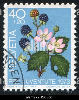 SCHWEIZ - UM 1973: Briefmarke gedruckt von der Schweiz, zeigt Brombeeren, um 1973 Stockfoto