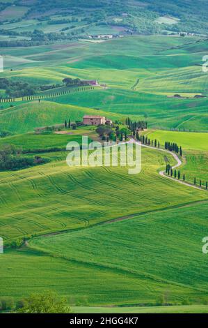 Pienza (Italien) - die wunderbare mittelalterliche Stadt der Toskana im Frühling, mit sehr berühmten Aussichten und Landschaften im Val d'Orcia UNESCO-Stätte Stockfoto