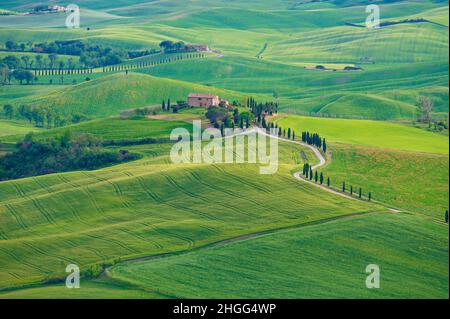 Pienza (Italien) - die wunderbare mittelalterliche Stadt der Toskana im Frühling, mit sehr berühmten Aussichten und Landschaften im Val d'Orcia UNESCO-Stätte Stockfoto