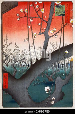 Japan: 'Plum Park in Kameido'. Ukiyo-e Holzschnitt von Utagawa Hiroshige(1797. - 12. Oktober 1858), 1857. Der blühende Pflaumengarten mit seinen weißen Blüten und dem roten Himmel gilt als Hiroshiges größtes Werk und ‘Meisterwerk der „sukiyo-e“ (schwimmende Welt) künstlerischen Tradition, die während der Edo-Zeit von 1603 bis 1868 populär war. Utagawa, oder Ando, Hiroshige wurde in Edo (heute Tokio) geboren und war ursprünglich ein Feuerwehrmann wie sein Vater. Er wurde zuerst von Katsushika Hokusai inspiriert, um ein Ukiyo-e Künstler zu werden, und er wurde von Utagawa Toyohiro, einem renommierten Maler, betreut. Stockfoto