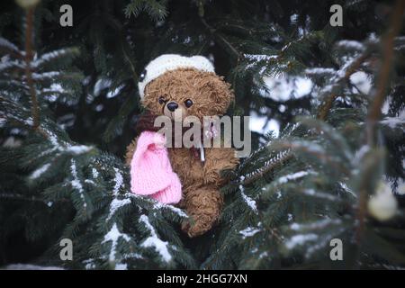 Lustiger brauner Plüschtier-Bär in gestrickter Mütze und Schal auf schneebedeckten Tannenzweigen im Freien im Winter Stockfoto