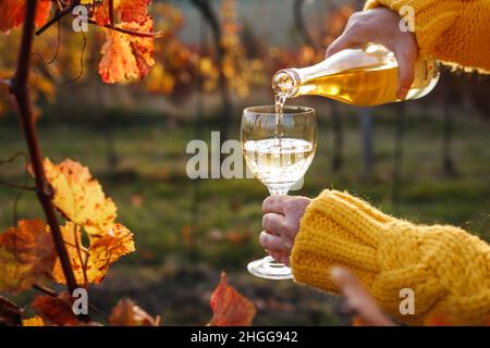 Frau, die im Herbst im Weinberg Weißwein ins Glas gießt. Sommelier Weinprobe im Freien Stockfoto