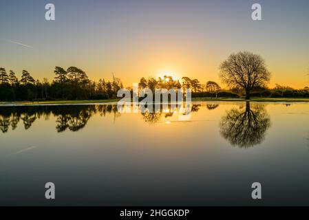 Fritham, New Forest, Hampshire, Großbritannien, 21st. Januar 2022, Wetter: Eis bedeckt die Oberfläche des Janesmoor Pond nach der kältesten Nacht des Jahres mit einer Temperatur von -4 bei Sonnenaufgang teilweise. Ein schöner und sonniger, aber kalter Tag wird prognostiziert. Kredit: Paul Biggins/Alamy Live Nachrichten Stockfoto