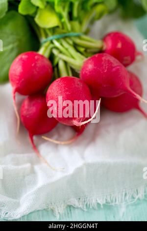 Frisches Radieschen auf Holzoberfläche Stockfoto