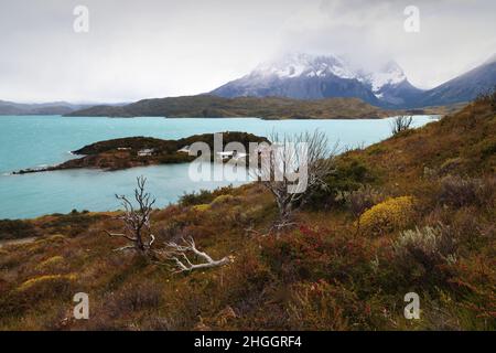 Landschaft des Torres del Paine NP mit dem Türkis des Lago Pehoe, Chile Stockfoto