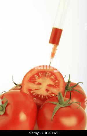 Gartentomate (Solanum lycopersicum, Lycopersicon esculentum), Spritze in halbe Tomate gesteckt, gentechnisch verändertes Gemüse Stockfoto