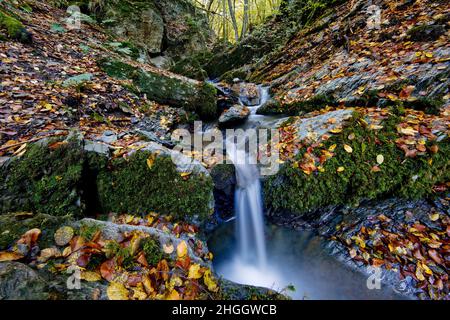 Kleiner Wasserfall am Naturschutzgebiet Bommecketal im Herbst, Deutschland, Nordrhein-Westfalen, Sauerland, Naturschutzgebiet Bommecketal Stockfoto