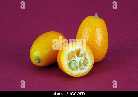 Kumquat (Fortunella margarita), zwei ganze und eine halbierte Kumquat Stockfoto