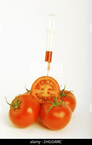 Gartentomate (Solanum lycopersicum, Lycopersicon esculentum), Spritze in halbe Tomate gesteckt, gentechnisch verändertes Gemüse Stockfoto