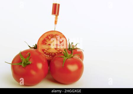 Gartentomate (Solanum lycopersicum, Lycopersicon esculentum), Spritze in halbe Tomate gesteckt, gentechnisch verändertes Gemüse Stockfoto