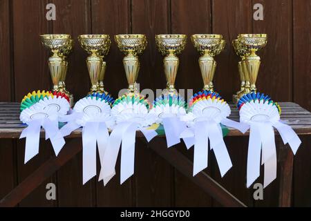 Gruppe von Pferdesport-Trophäen und Abzeichen Rosetten bei Reitsport-Veranstaltung in Reihe. Haufen von Sporttrophäen und Abzeichen Rosetten für die Sieger auf der Ausstellung Stockfoto