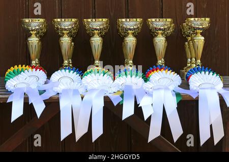 Gruppe von Pferdesport-Trophäen und Abzeichen Rosetten bei Reitsport-Veranstaltung in Reihe. Haufen von Sporttrophäen und Abzeichen Rosetten für die Sieger auf der Ausstellung Stockfoto