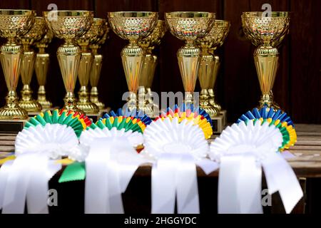 Gruppe von Pferdesport-Trophäen und Abzeichen Rosetten bei Reitsport-Veranstaltung in Reihe. Haufen von Sporttrophäen und Abzeichen Rosetten für die Sieger auf der Ausstellung Stockfoto