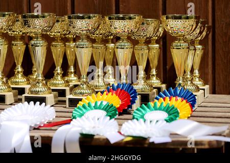 Gruppe von Pferdesport-Trophäen und Abzeichen Rosetten bei Reitsport-Veranstaltung in Reihe. Haufen von Sporttrophäen und Abzeichen Rosetten für die Sieger auf der Ausstellung Stockfoto