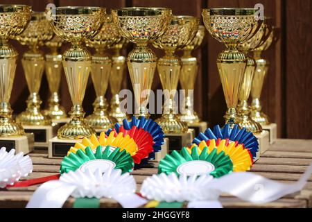 Gruppe von Pferdesport-Trophäen und Abzeichen Rosetten bei Reitsport-Veranstaltung in Reihe. Haufen von Sporttrophäen und Abzeichen Rosetten für die Sieger auf der Ausstellung Stockfoto