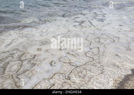 Salzformationen am Toten Meer in Jordanien, Naher Osten. Salzkristalle Salzwassersedimentation am niedrigsten Ort, dem niedrigsten See der Erde. Stockfoto