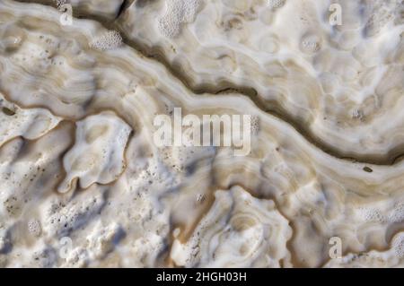 Salzformationen am Toten Meer in Jordanien, Naher Osten. Salzkristalle Salzwassersedimentation am niedrigsten Ort, dem niedrigsten See der Erde. Stockfoto