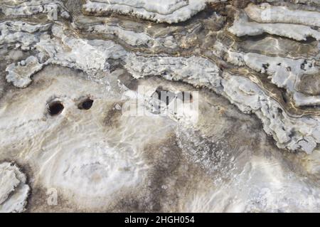 Salzformationen am Toten Meer in Jordanien, Naher Osten. Salzkristalle Salzwassersedimentation am niedrigsten Ort, dem niedrigsten See der Erde. Stockfoto