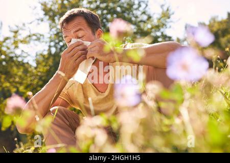 Mann niest in ein Taschentuch mit Heuschnupfen auf einer blühenden Sommerwiese Stockfoto