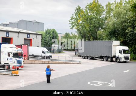 HGV1 Fahrer und Ausbilder während einer Trainingseinheit, Großbritannien. Stockfoto