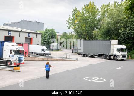 HGV1 Fahrer und Ausbilder während einer Trainingseinheit, Großbritannien. Stockfoto