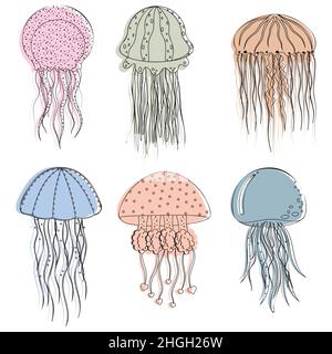 Satz mehrfarbiger Quallen, isoliert auf weißem Hintergrund, Farbvektordarstellung. Stock Vektor