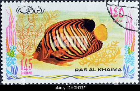 Abgesagte Briefmarke gedruckt von Ras al Khaimah, die Pygoplites diacanthus, Königlicher Engelfisch, um 1972 zeigt. Stockfoto