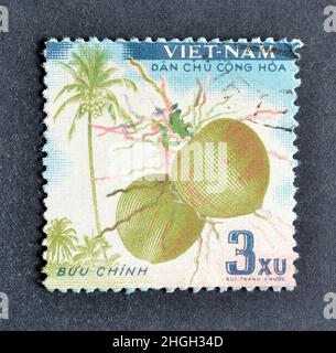 Abgesagte Briefmarke gedruckt von Vietnam, die Kokosnüsse zeigt, um 1959. Stockfoto