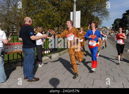 Ein Mann, der in einem Tiger-Body-Anzug gekleidet ist, ergreift während des Sport Relief Run in Southampton am 25th. März 2012 Wasserflaschen von der Wasserstation. Stockfoto