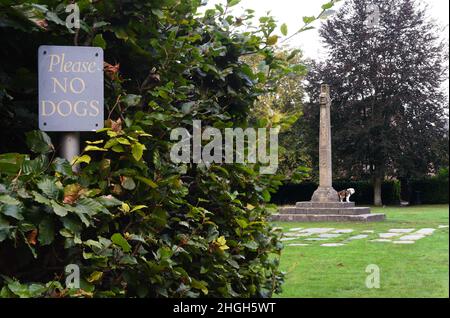 Eine lustige Szene wie ein Bulldogge sitzt auf einem Kreuz Gedenkstätte in der Nähe eines Schildes, das sagt bitte keine Hunde in der Nähe von Romsey Abbey hampshire England. Stockfoto