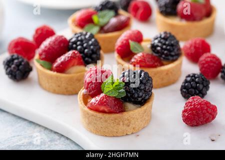 Frische Beeren-Törtchen mit Vanillefüllung und Minze Stockfoto