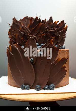 Schokoladenkuchen mit großer schöner Dekoration aus Schokoladenfedern und frischen Blaubeeren, auf grauem Hintergrund. Stockfoto