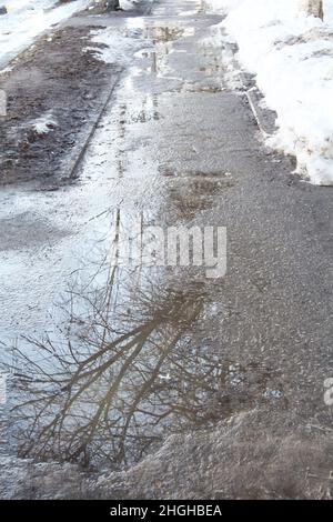 Frühlingshafte Pfütze von geschmolzenem Schnee auf Asphalt, Spiegelung von Bäumen im Wasser. Stock Foto mit leerem Raum für Text und Design. Stockfoto