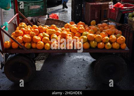 Mann zieht Wagen voll von gelben Orangen zum Verkauf auf Sao Joaquim Messe. Salvador, Bahia, Brasilien. Stockfoto