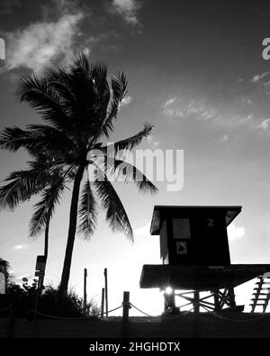 Leben am Strand Stockfoto