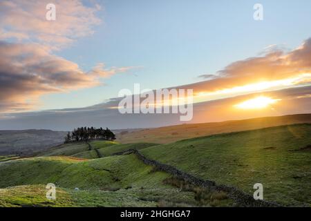 Der alte Baum bedeckte Grabhügel von Kirkcarreon bei Sunrise, Middleton-in-Teesdale, Teesdale, County Durham, Großbritannien Stockfoto