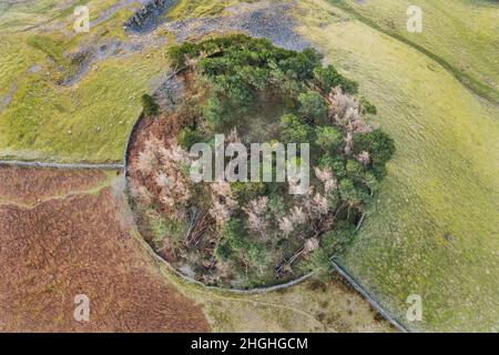 The Ancient Tree Covered Burial Mound of Kirkcarreon, Middleton-in-Teesdale, Teesdale, County Durham, Großbritannien Stockfoto