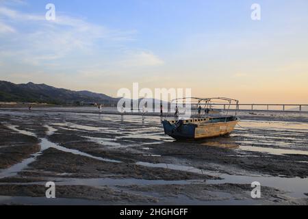 Die Feuchtgebiete von ha pak hai in yuen Long, hongkong Stockfoto