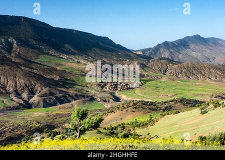 Das Atlasgebirge in Marokko. Berber Dorf am Fuße eines Tals, umgeben von terrassenförmigen Pflanzen Stockfoto