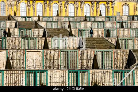 Potsdam, Deutschland. 21st Januar 2022. Bei sonnigem Wetter sind Kinderwagen auf den Weinbergterrassen vor dem Schloss Sanssouci unterwegs. Quelle: Jens Kalaene/dpa-Zentralbild/ZB/dpa/Alamy Live News Stockfoto