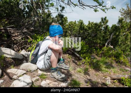 Auf dem Weg nach Śnieżka, Woiwodschaft Niederschlesien, im Südwesten Polens, Europa Stockfoto