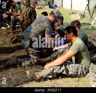 Soldaten mit der 205. Medical Company Ground Ambulance (MCGA) und der 206. Area Support Medical Company (ASMC), Nationalgarde der Missouri Army, behandeln Scheinpatienten während einer Massenausbildungsveranstaltung im Camp Greyling Joint Maneuver Training Center in Greyling, Michigan, 10. August 2021. Beide Einheiten nehmen an Northern Strike 21 (NS21) Teil, einer gemeinsamen Trainingsübung, und werden mit dem medizinischen Personal der Navy geschult, um die Fähigkeiten beider Dienste zu verbessern. Stockfoto