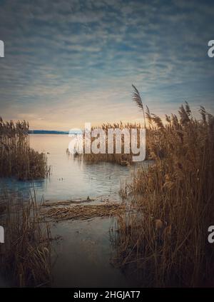 Trockenes Schilf im gefrorenen See über Sonnenuntergang Himmel Hintergrund. Winterlandschaft in der Nähe des Teiches, ruhige Abendszene Stockfoto