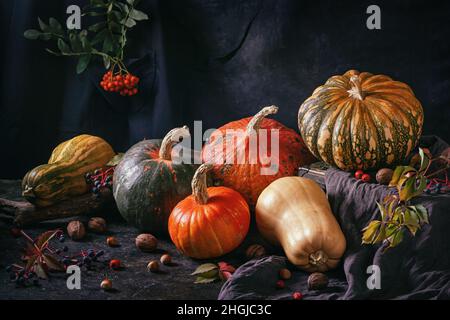 Stillleben im Herbst mit verschiedenen Kürbissen - cucurbita Früchte in verschiedenen Farben und Größen mit Nüssen und Beeren. Konzept des Thanksgiving-Tages mit sp Stockfoto