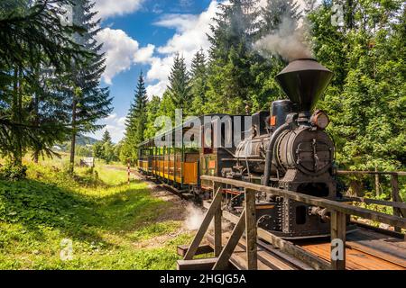 Dampflokomotive in Waldbahnen aus dem Dorf Vychylovka in der Region Kysuce, Slowakei, Europa. Stockfoto
